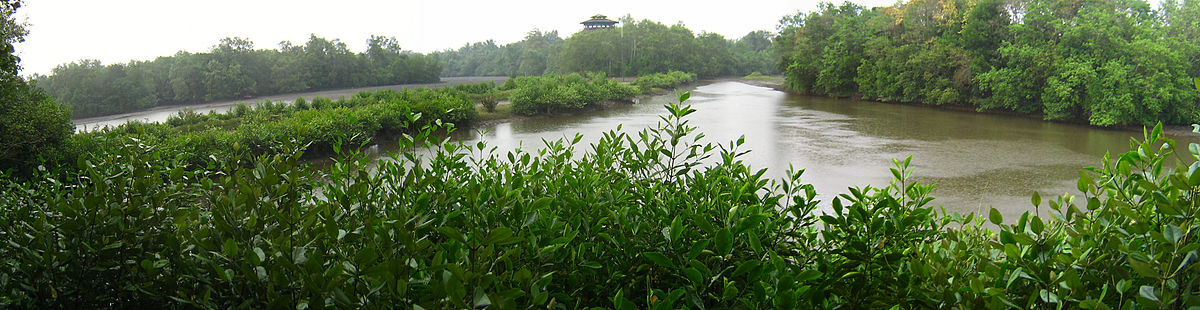 1200px-Sungei_Buloh_Wetland_Reserve_Interior_panorama.jpg