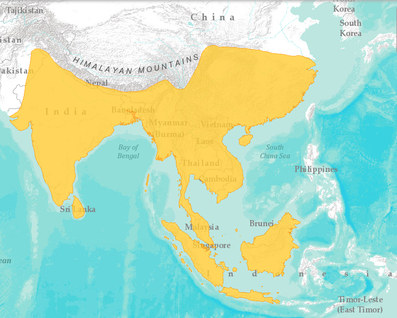 Copsychus saularis IUCN Map(revised)_elizengyx2.jpg copy.jpg