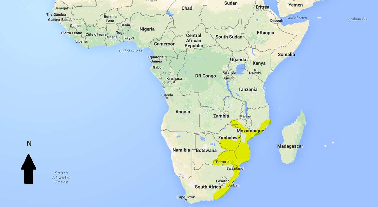Distribution of Oreochromis massambiscus in Africa.PNG