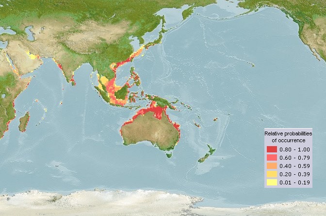 Dugong range map.jpg