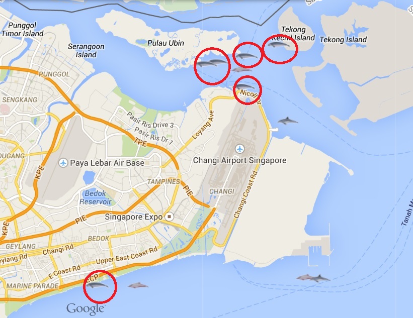 DugongSingapore map.jpg