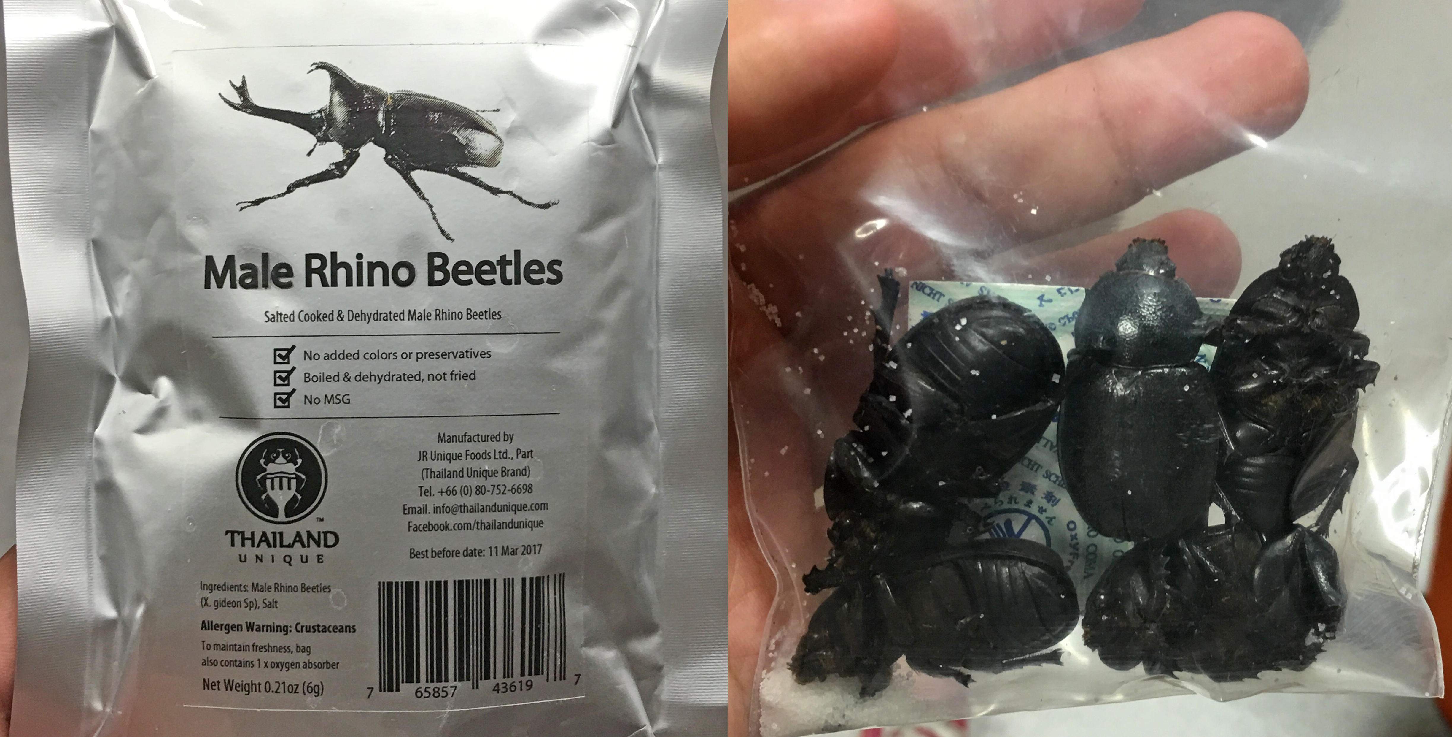 Edible rhino beetles 2.jpg