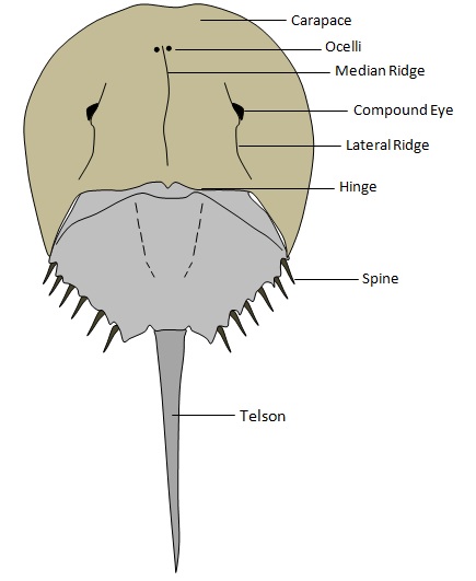 Figure_2.jpg Figure_2.jpg