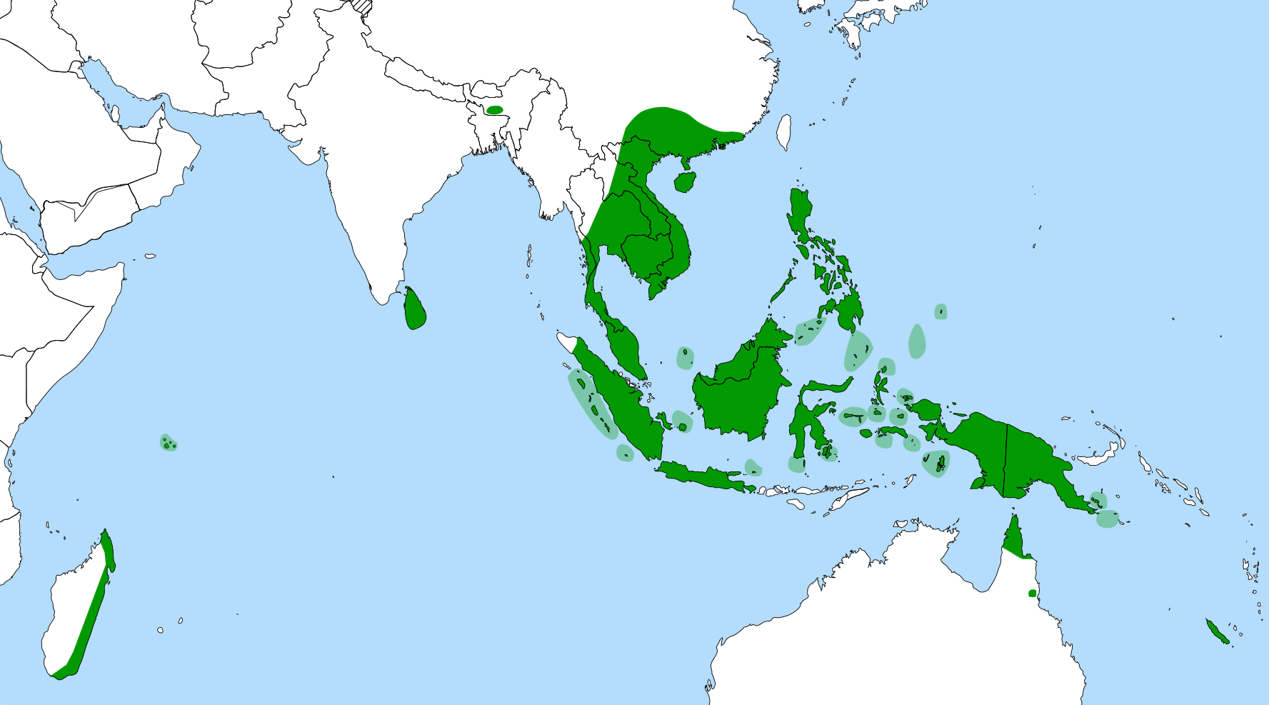 Global Nepenthes distribution.png