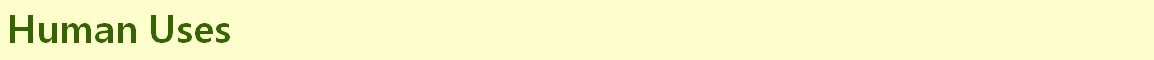 Human_Uses1.jpg Human_Uses1.jpg