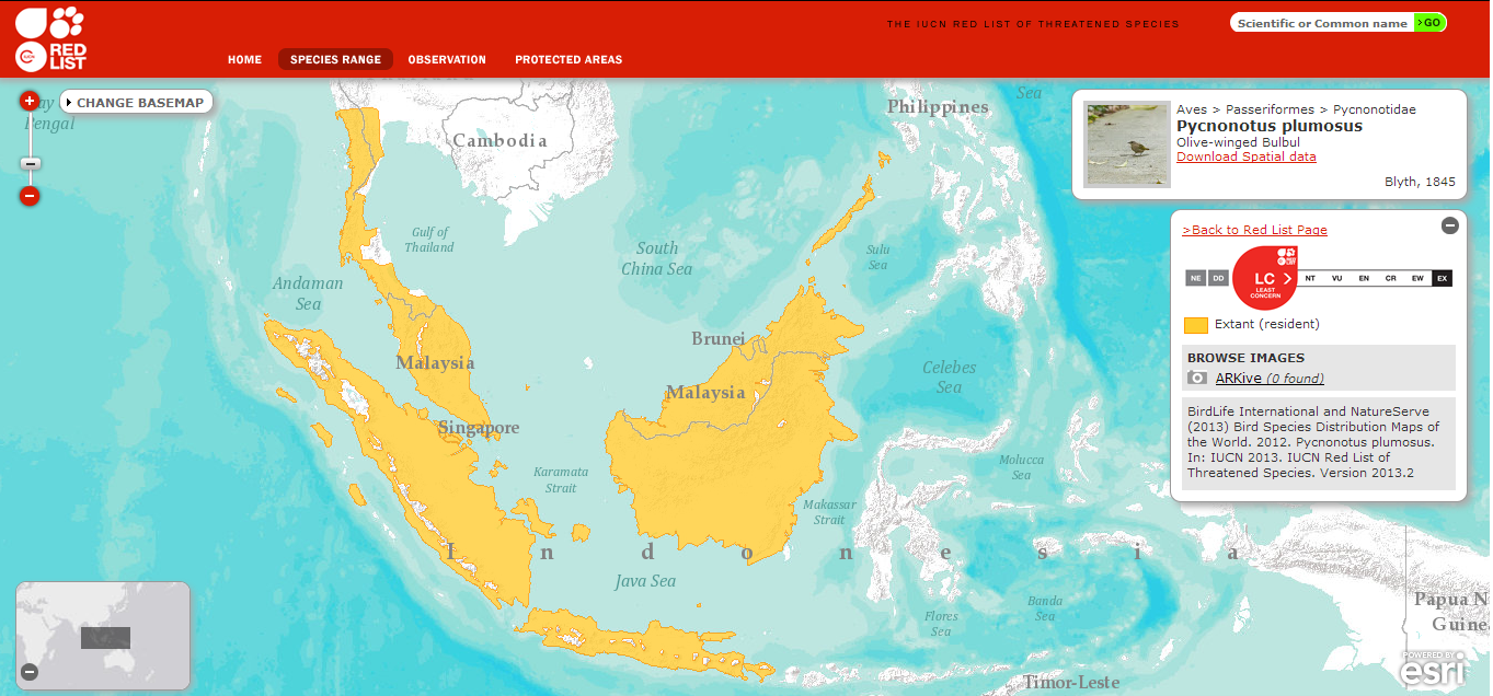 IUCN distribution map_OlivewingedBulbul.png