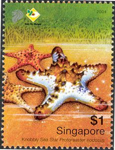 Knobbly-Sea-Star_stamp.jpg