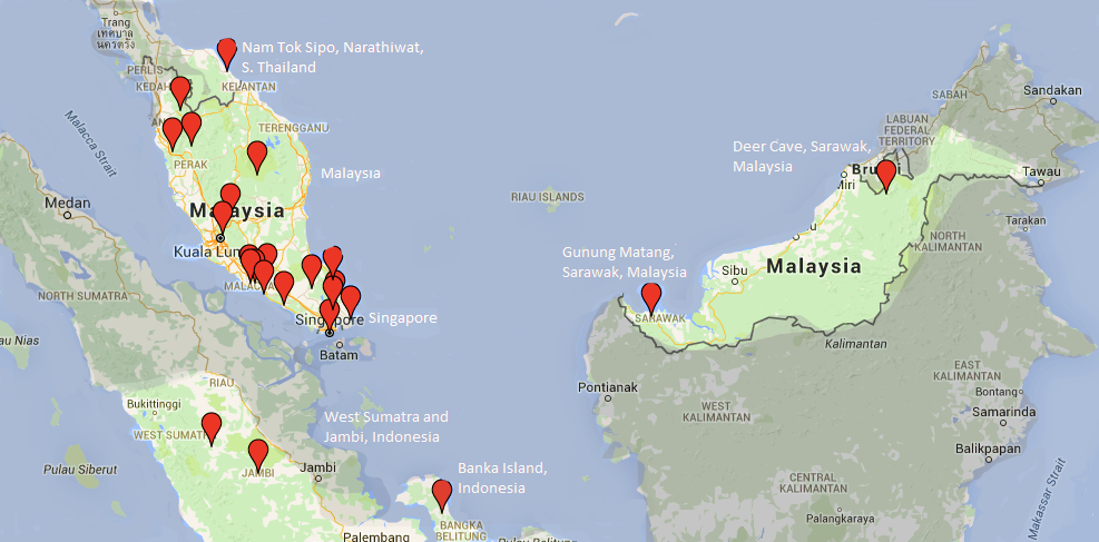 M_malayanum_map.png