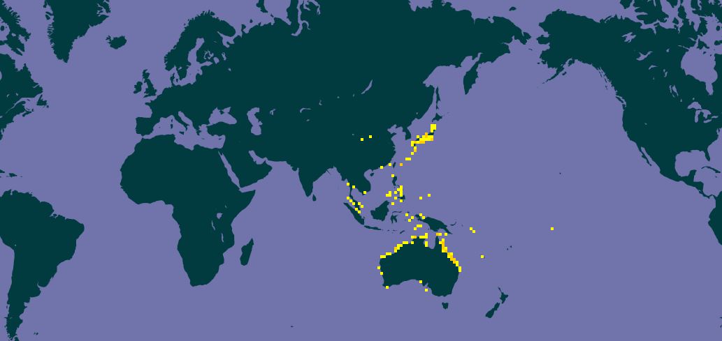 Monodonta labio global Distribution.JPG