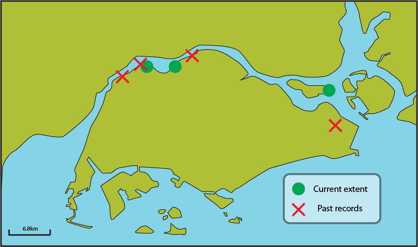 Singapore map seagrass distribution.png