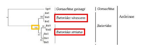 Species split.JPG