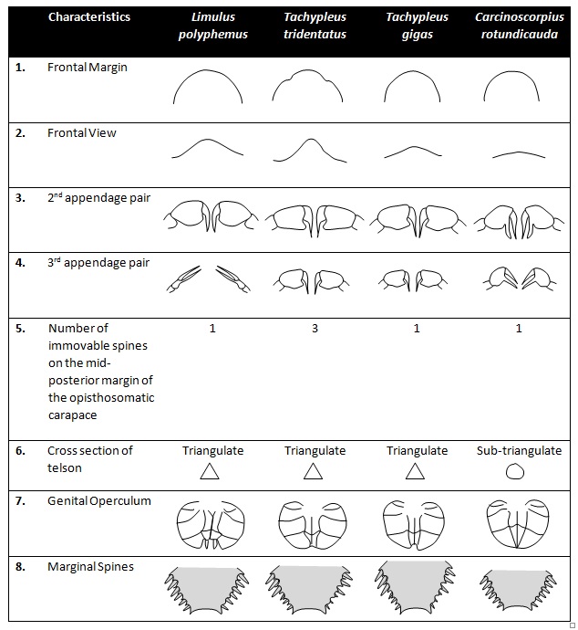 Table_1.1.jpg Table_1.1.jpg