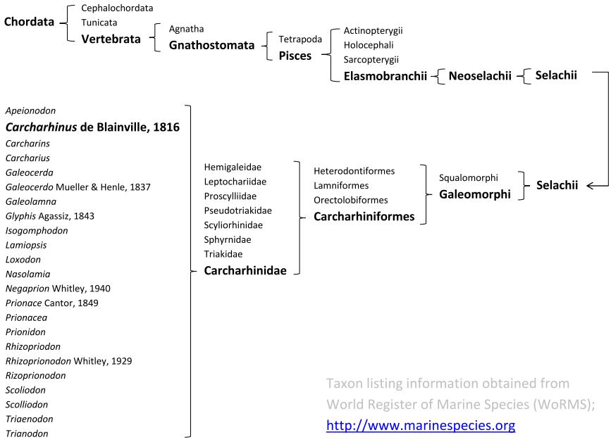 Taxonomy chart.jpg