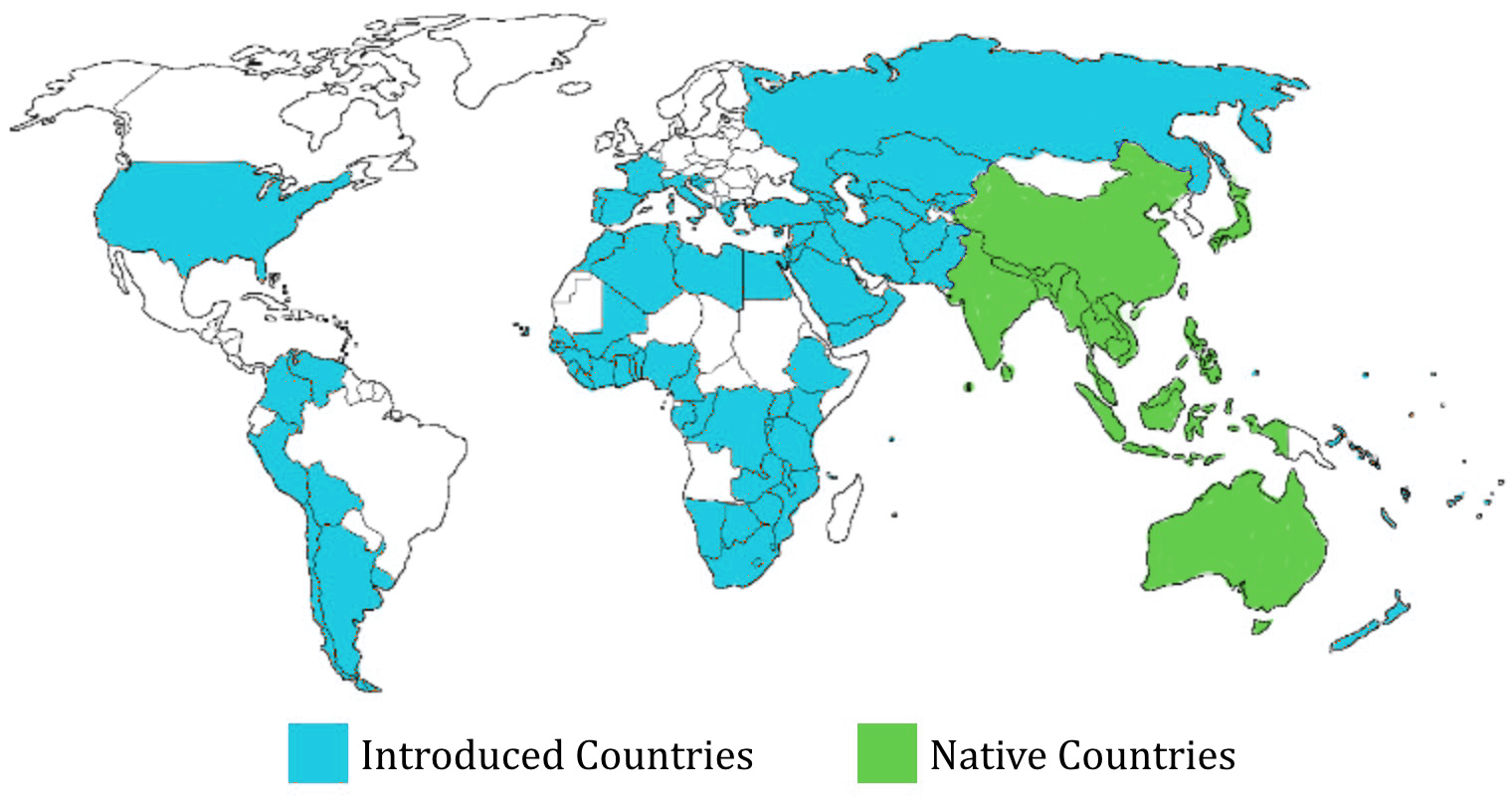 World distribution map lalang.jpg