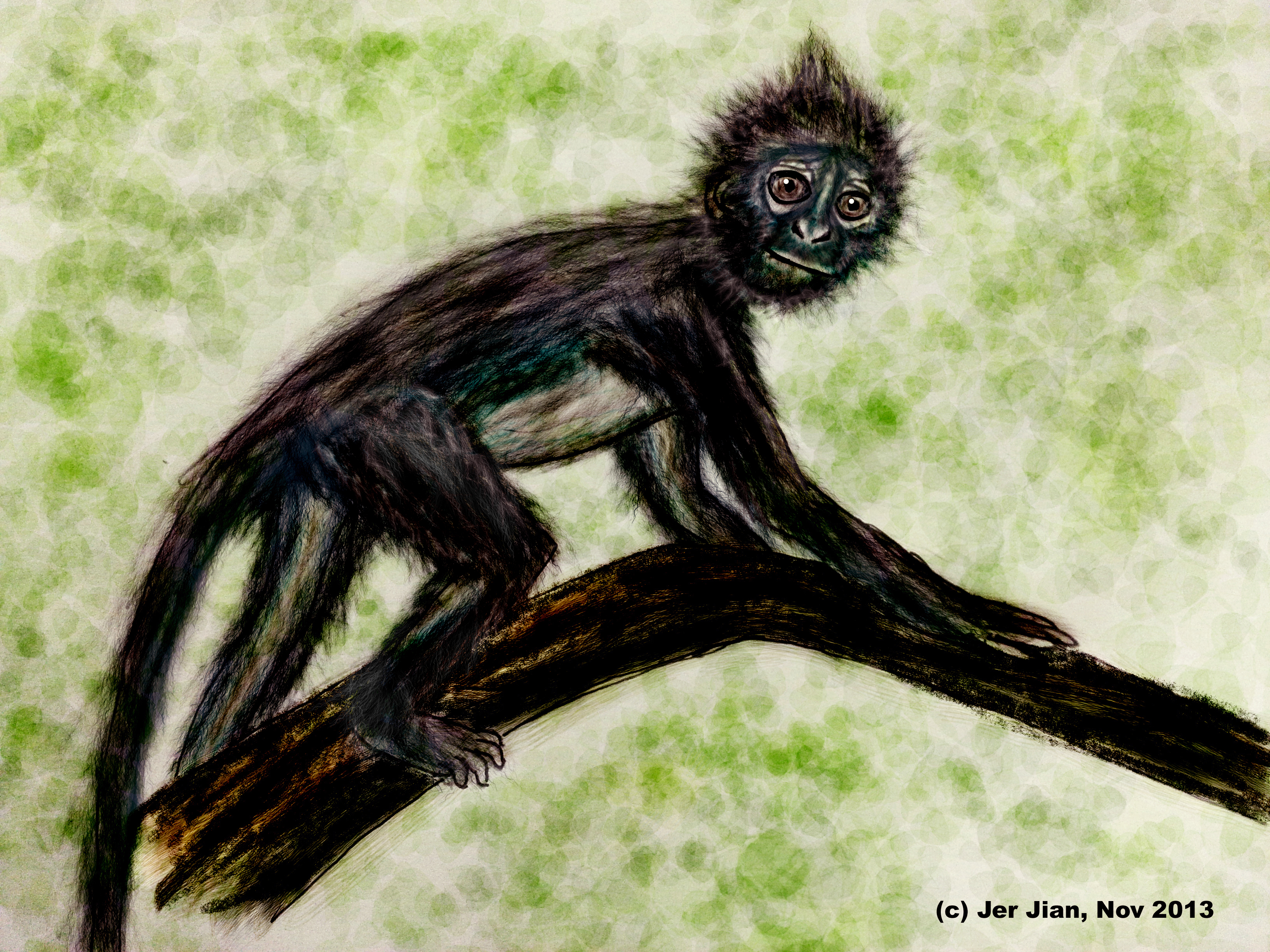 blmBanded Leaf Monkey by JJ.jpg