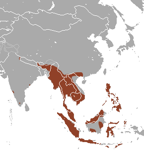 cave nectar bat distribution.png