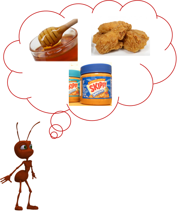 chy_food that pharaoh ants like to eat.png