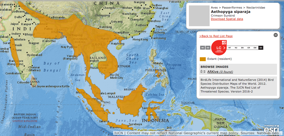 crimson_sunbird_global_distribution.png crimson_sunbird_global_distribution.png
