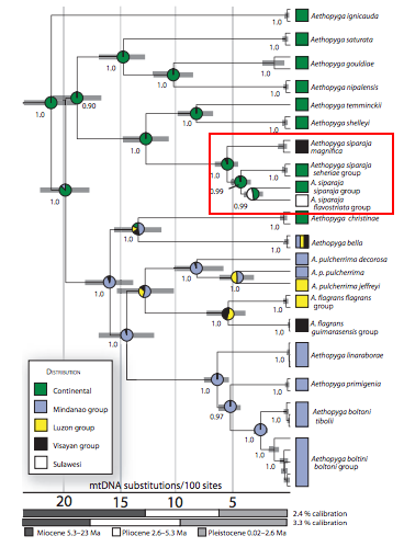 crimson_sunbird_mtdna.png crimson_sunbird_mtdna.png