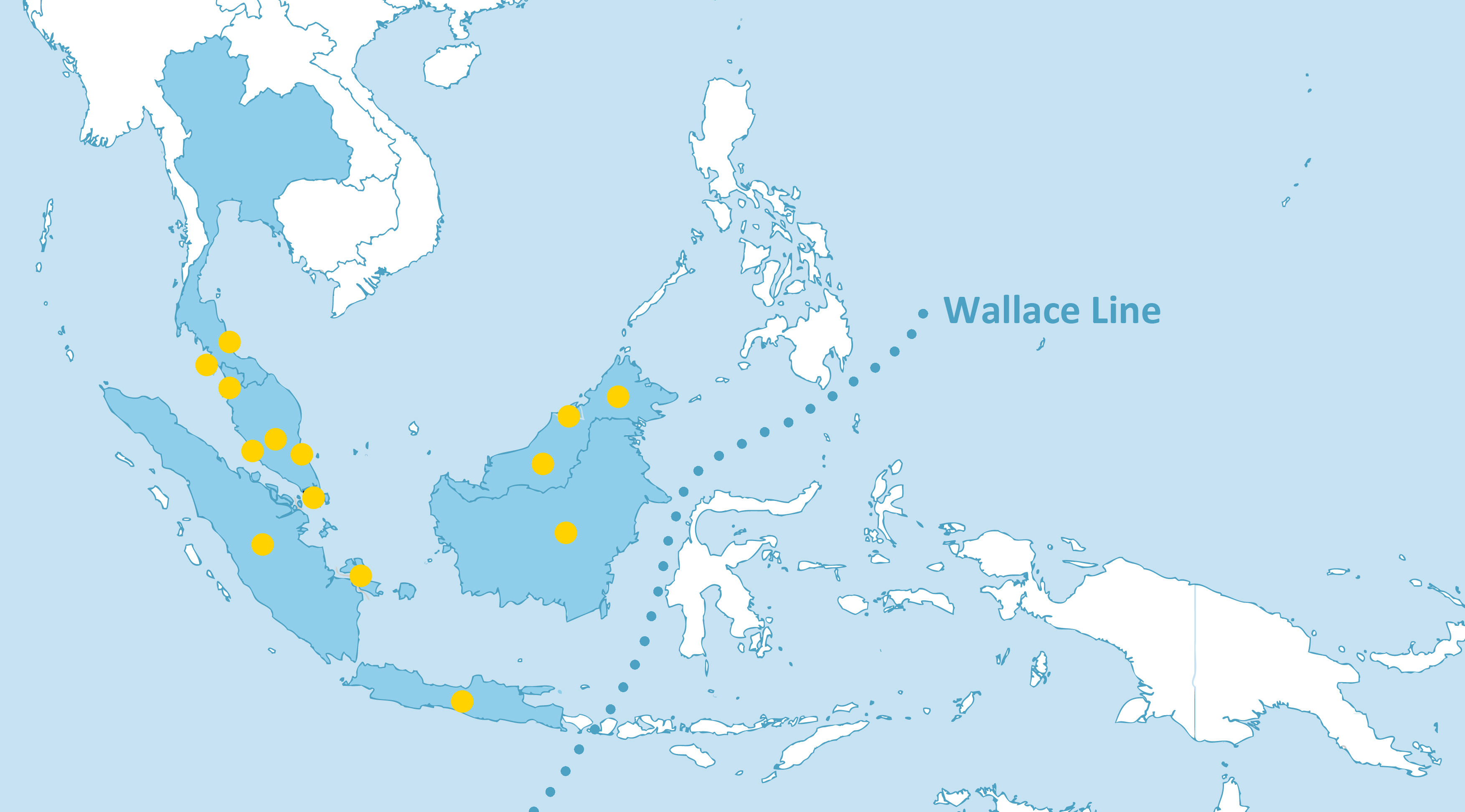 csx_distribution.jpg