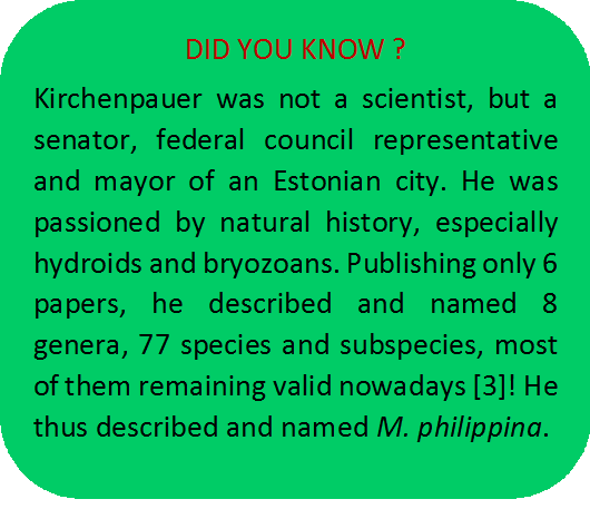 did you know kirchenpauer.png