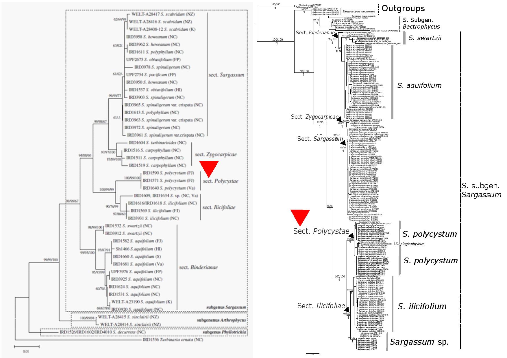 fig 5 tree comparison-page-001.jpg