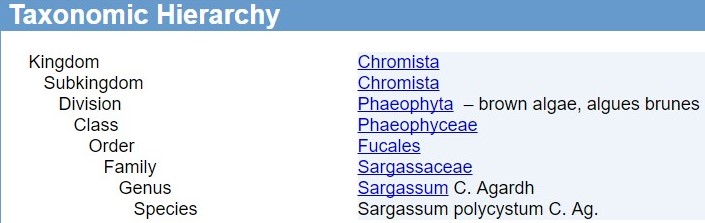 higher_classification.jpg