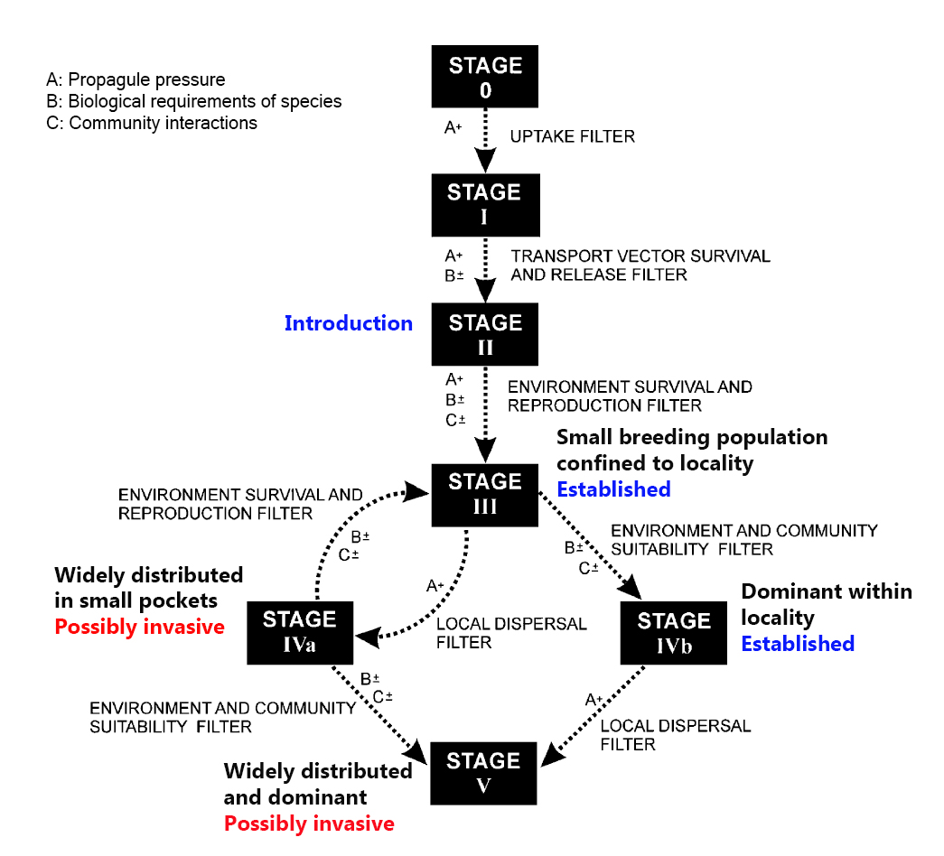 invasion framework 2.jpg