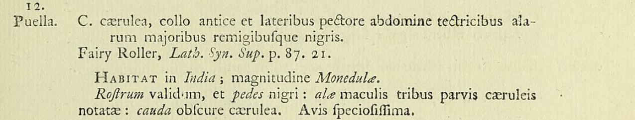 latham 1790 book puella description.png