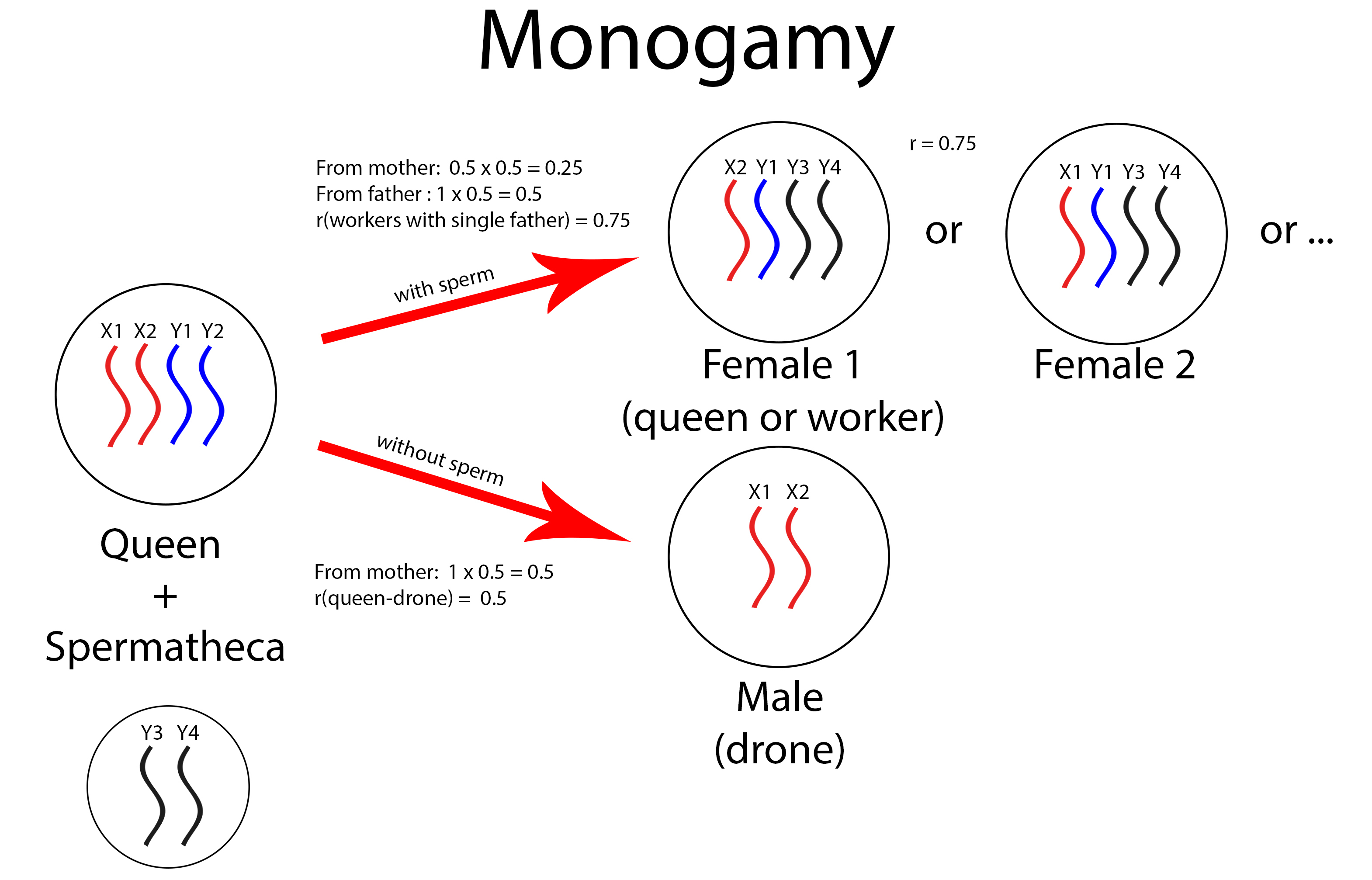 monogamy (edit).jpg