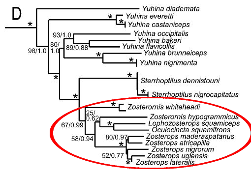 moyle et al 2012 zosteropidae clade.png