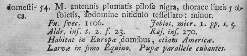 musca domestica linneaus 1758 description.jpg