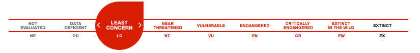 mviridisstatus.png mviridisstatus.png