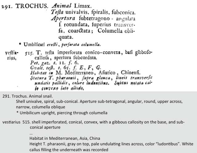 original description Linnaeus.png