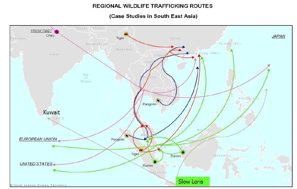 paper - Trafficking map.jpg