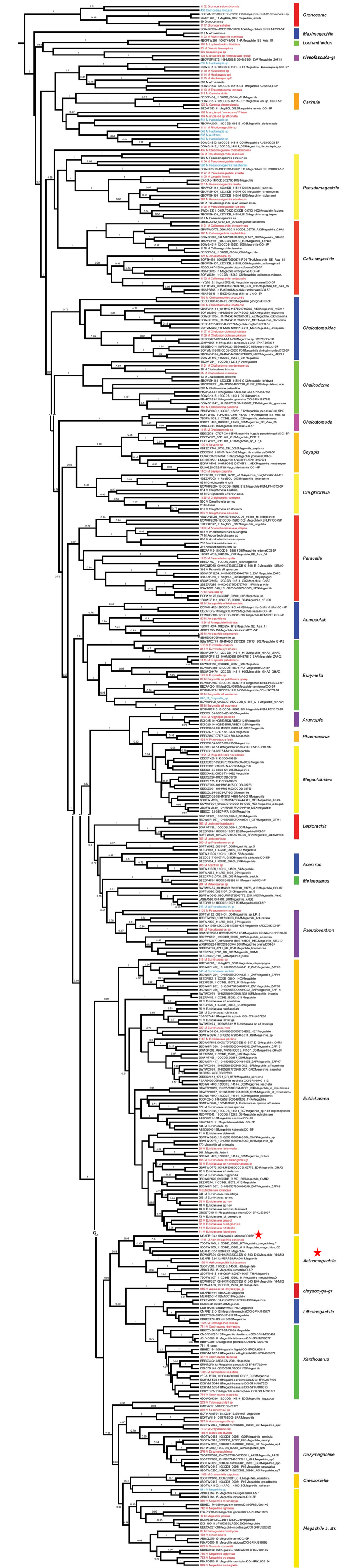 phylogeny Trunz et al 2016.png