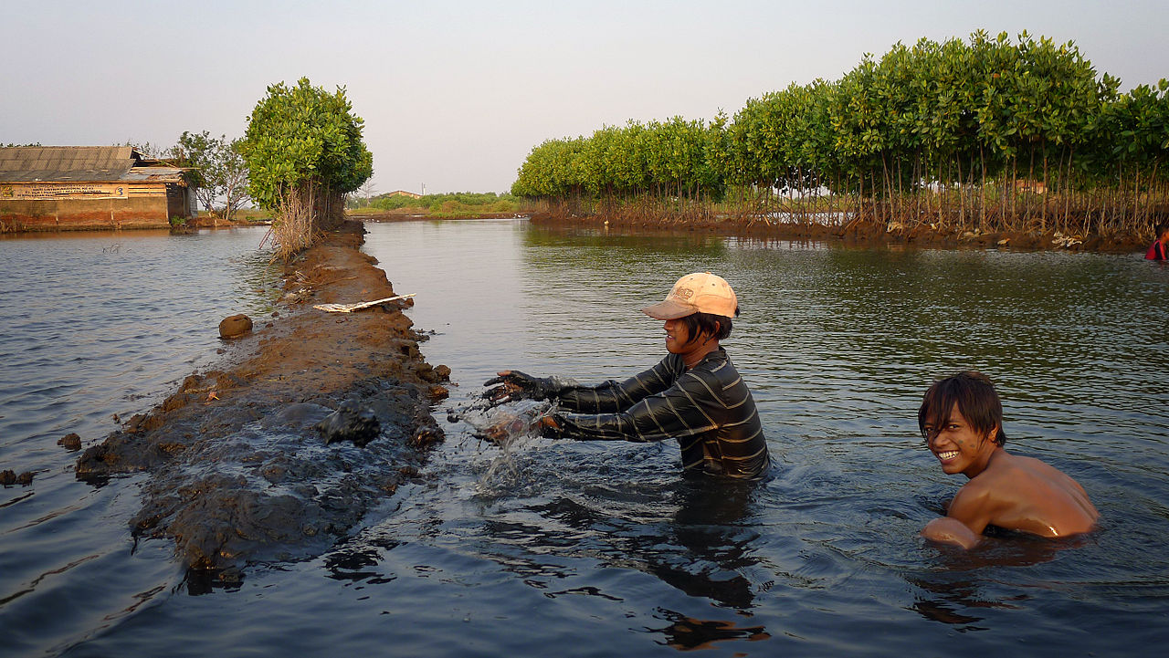 shrimp farm.jpg