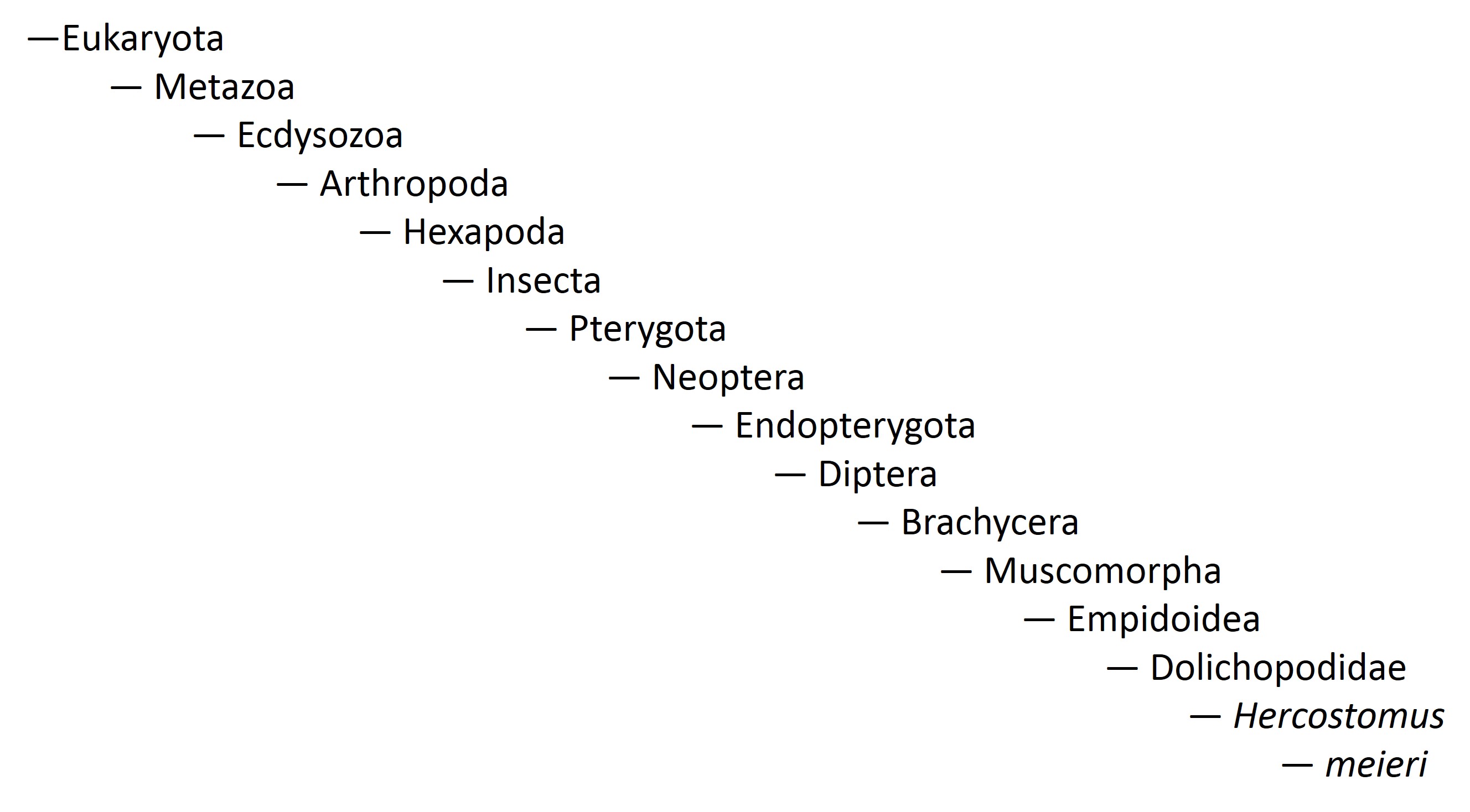 taxonomy.jpg