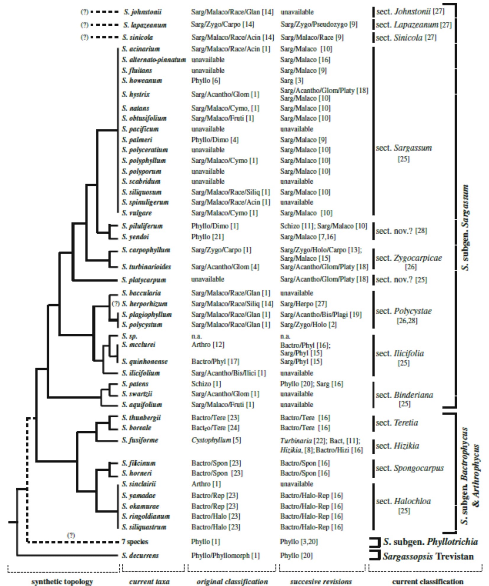 visuallycompiledtree-1.jpg