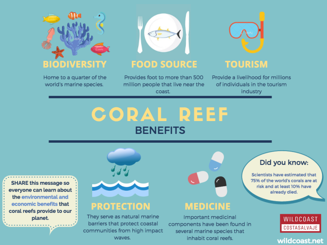 why coral reefs r important.png